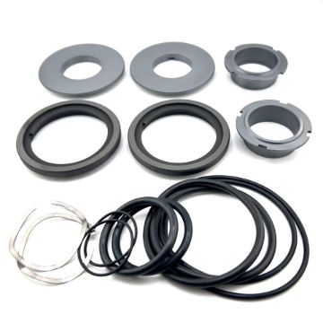 Picture of Waukesha 030-034 Double Mechanical, Seal and O-Ring Kit - SiC/SiC/CBN/EPR