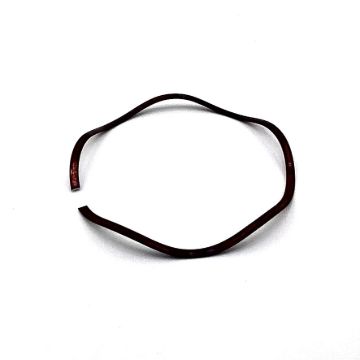 Picture of Waukesha 220-224 OEM Wave Spring