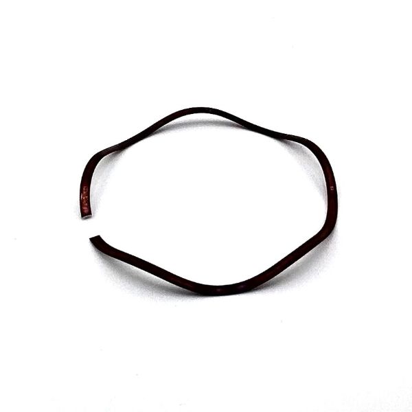 Picture of Waukesha 220-224 OEM Wave Spring